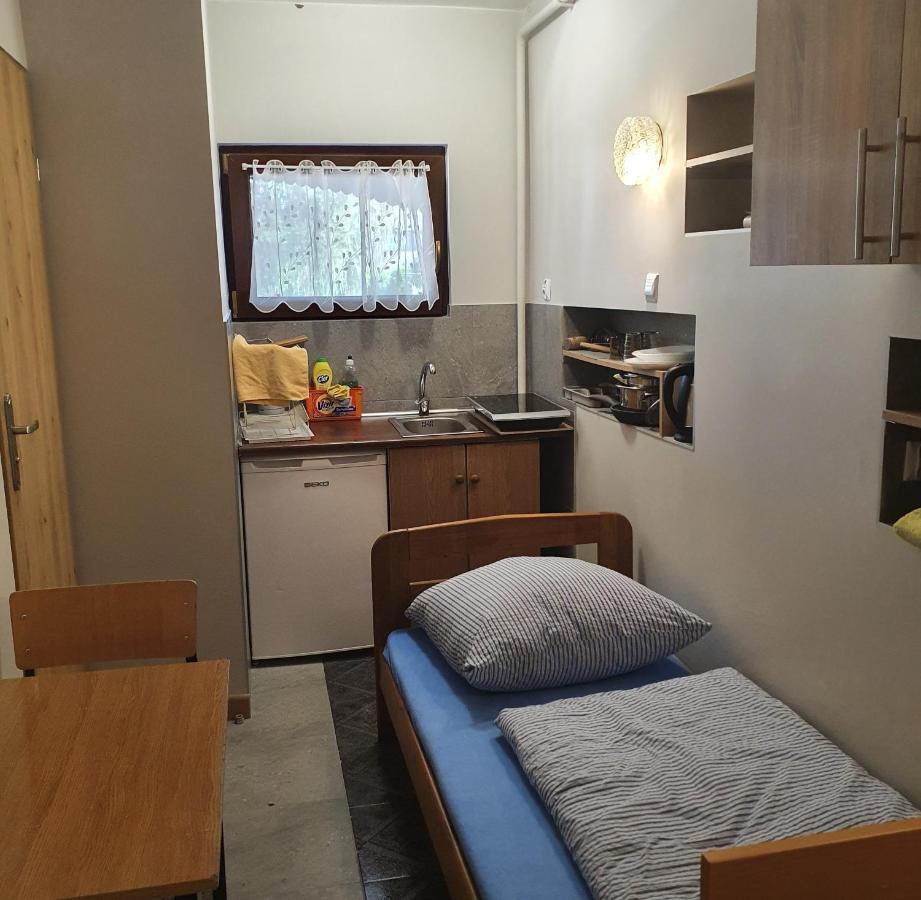 Noclegi Silesia Aster Tychy Habitación foto